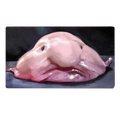 Blobfish Playmat